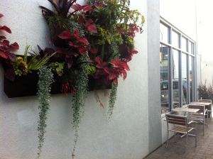 Canvas planters at 41st location